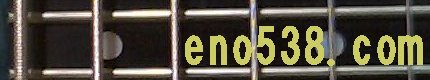 eno538.com